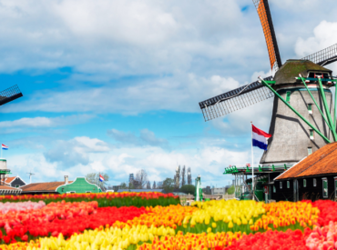 Belgium/Netherlands Field Hockey – June 2026